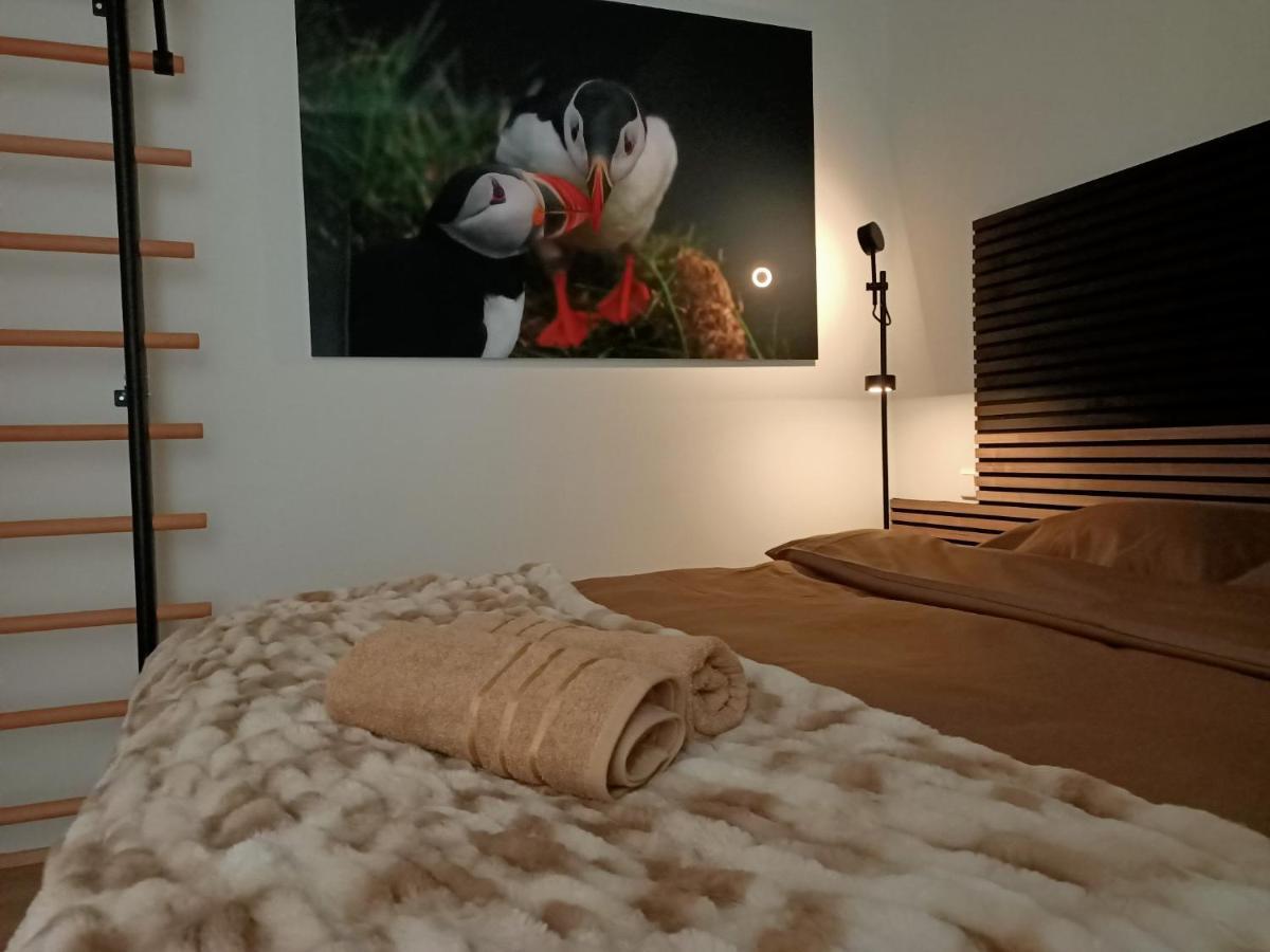 Puffin Nest, Superior Apartment Рейк'явік Екстер'єр фото